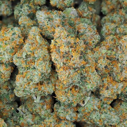 SUPER SILVER HASH PLANT