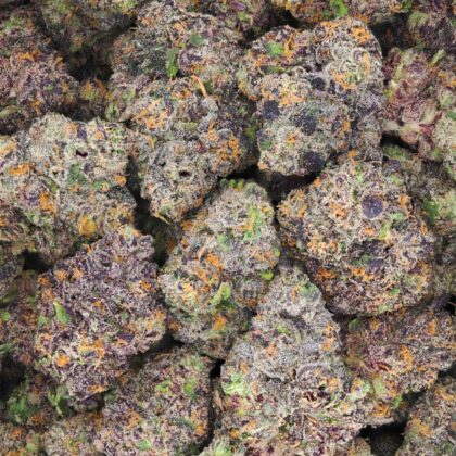 PURPLE RAIN