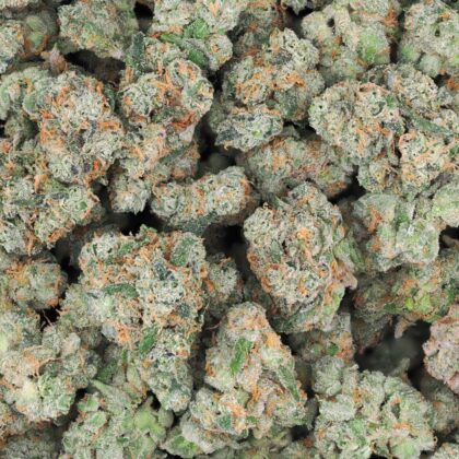 SOUR Z