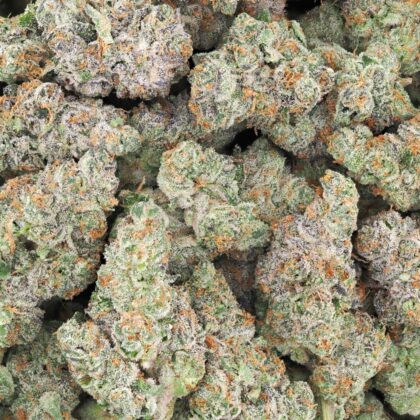 BLUEBERRY SKUNK