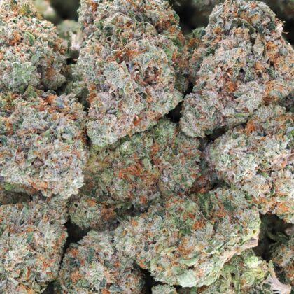 SFV OG