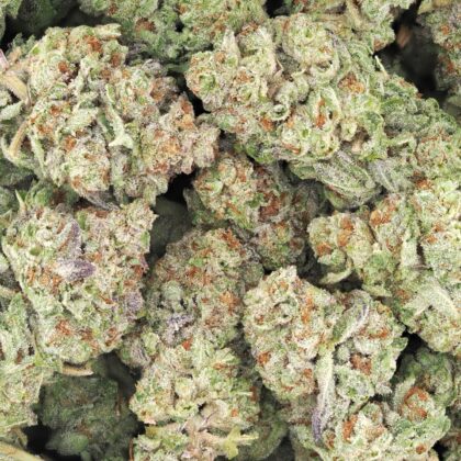 PURPLE OREO