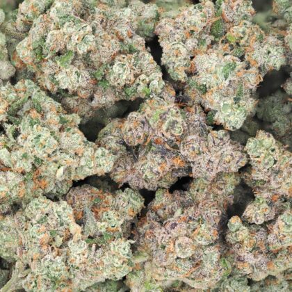 SOUR D x Z