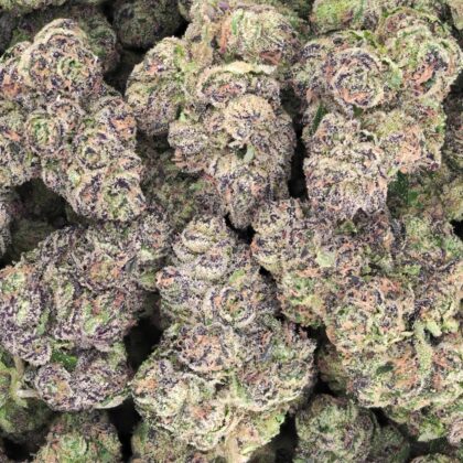 BLUEBERRY CAVIAR