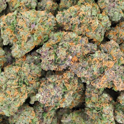 CANDY JACK